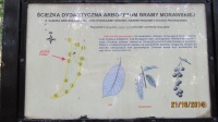IMG_2802.jpg, 23kB